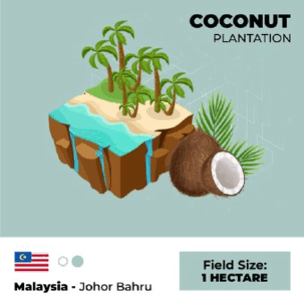 coconut